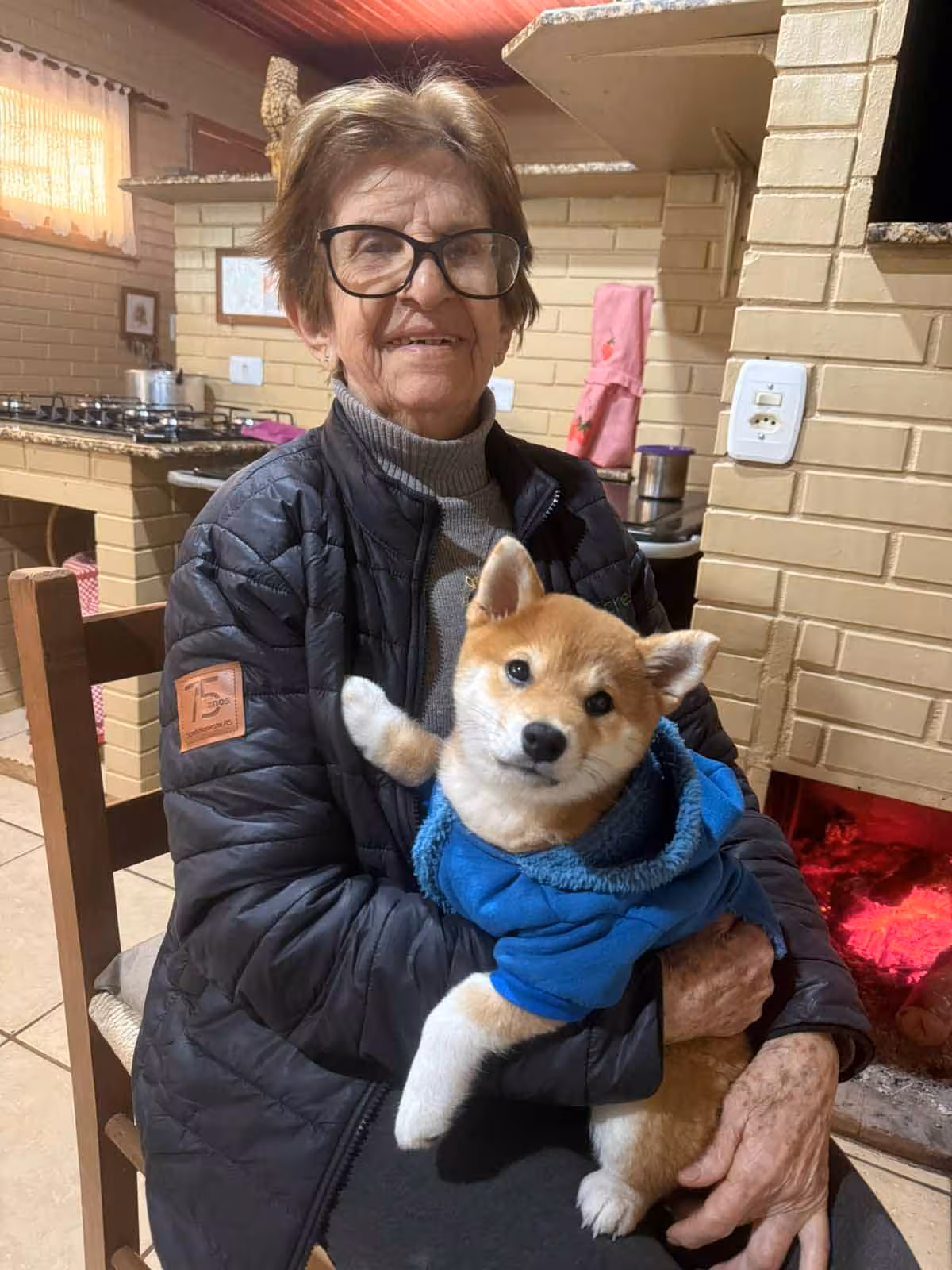shiba-filhote-4.avif